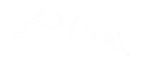 pixel logo blanco 1